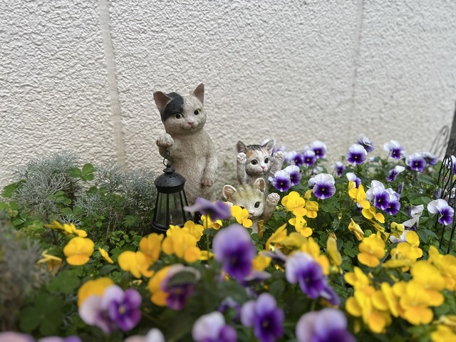 2B3E0D68-1EEA-4B24-A251-0C7B84529047_1_105_c