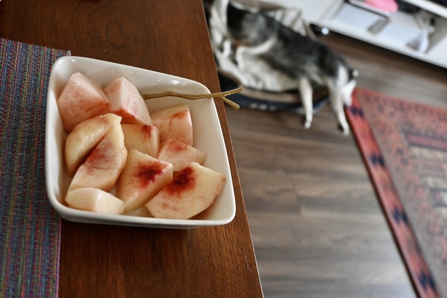 AC8055CA-5CDD-4AA8-A508-8105FBC9FB7D_1_201_a