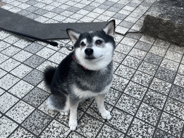 季節外れの寒雨と富士そばランチ