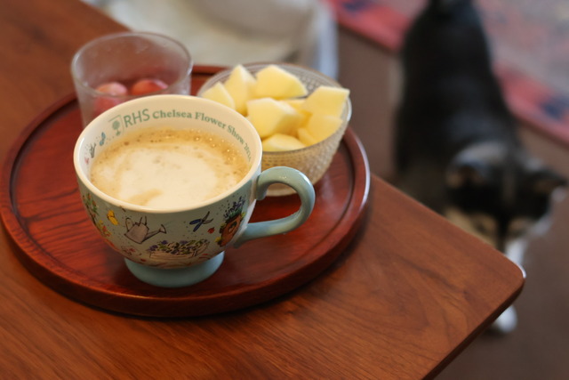 6818C4D5-4A02-4BF2-A6B9-5DC5B600FD3D