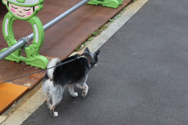 C345F39F-DAEE-415E-A84D-2CE3EE3DFA19