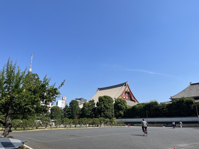 08718F1D-67F6-4150-8957-21FCB5E6C75F_1_105_c