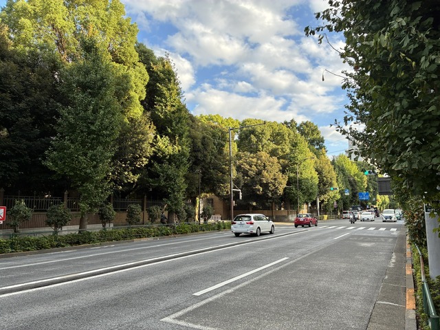 94C5E085-A95C-4D9C-B24E-647708E3D2B9_1_102_o