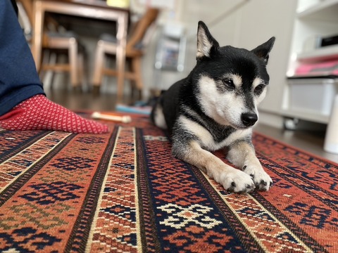 358AB46E-7C58-45B4-9393-F73DF7957A82_1_105_c