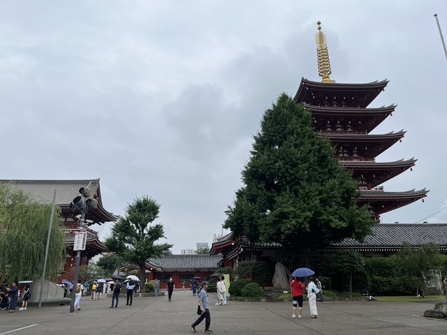 7E018CB2-BD93-4856-BCC9-A000DC86C497_1_105_c