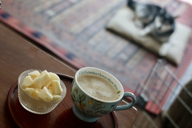 C6BAC325-5596-4E7F-84A6-364B28E7C03B_1_201_a