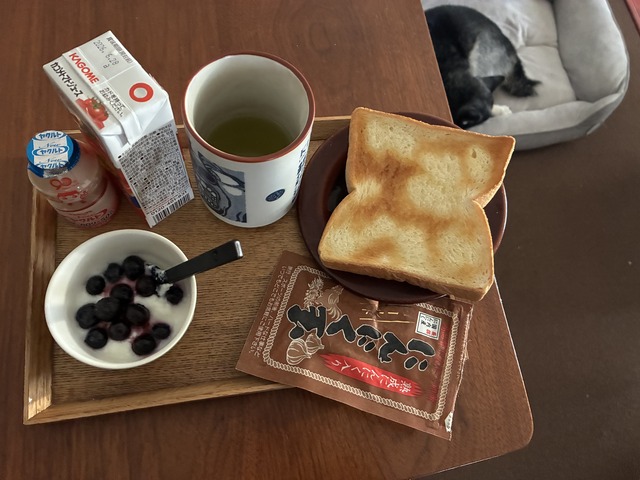 355A149A-F12E-47E6-ADCF-38F4BB85A1E1_1_201_a