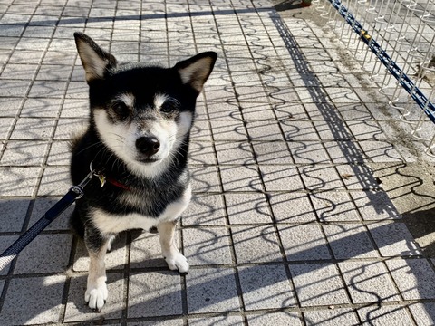 E587D31F-BB93-4D23-ABB9-AB9519A17F83