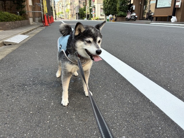 2EB9C1BA-E25E-4C43-8936-5B43AAE85C28_1_105_c