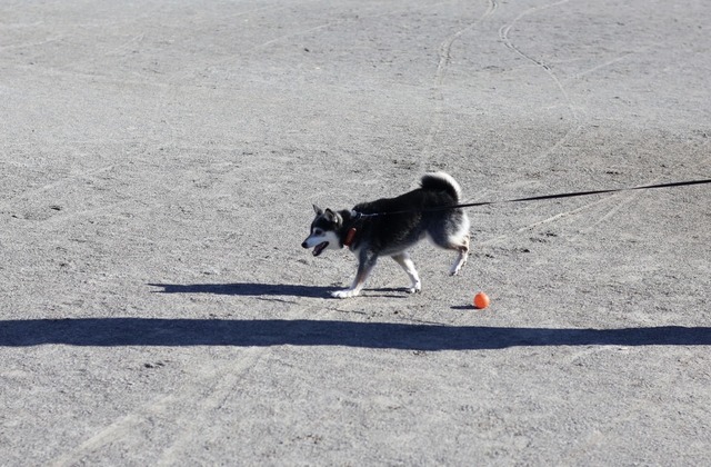 4B0397EA-2465-4D3A-88D9-2244A428A2E3_1_105_c