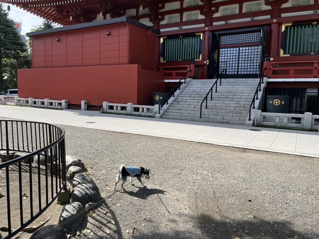 B33C194A-292D-41E5-99EC-B4C106A7B831_1_105_c