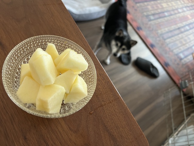 A1D7B240-721A-4791-A961-17F006E69A9B_1_201_a