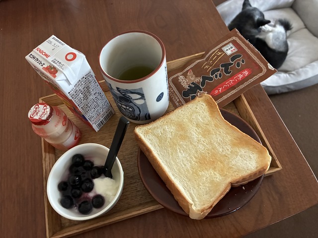 218A9D5A-AE70-4F8A-B9A2-BFD0EF9EE9C3_1_201_a