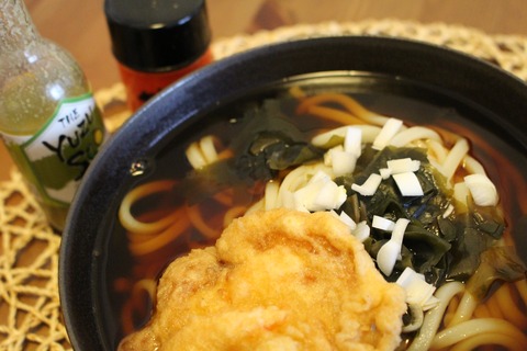 雨のかき揚げうどんとオバマスピーチ