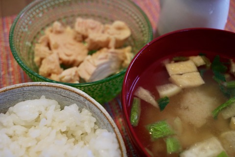 シーチキンジョージと天才藤井聡太四段