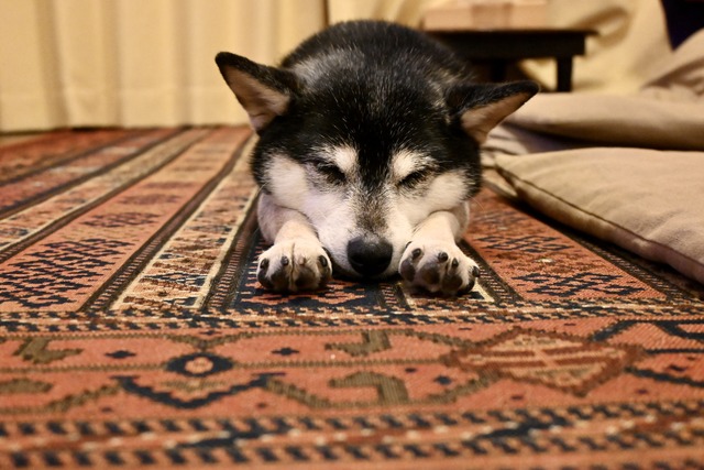 氷雨のハムチーズトーストと手作りトンカツ