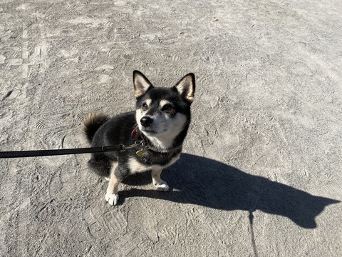 842BBD79-D015-4692-8CA3-711FC2192B60