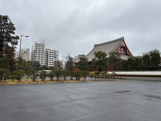 837C82EF-5A70-488C-9789-6F712AE26194_1_102_o