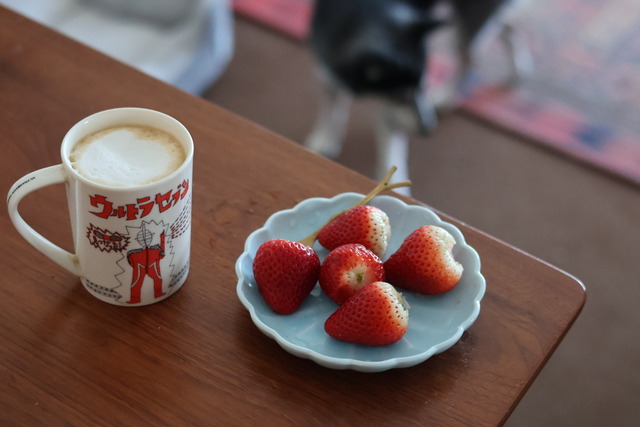 B1834FED-7D40-4A1A-ACD8-63B58BB7A91B