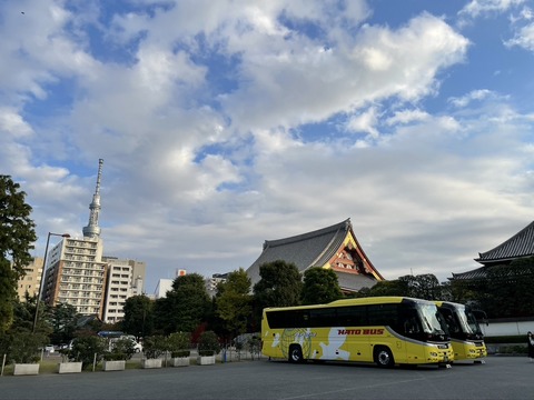 259541D1-CEED-4A89-99A3-15E0F3DB8F0D_1_105_c