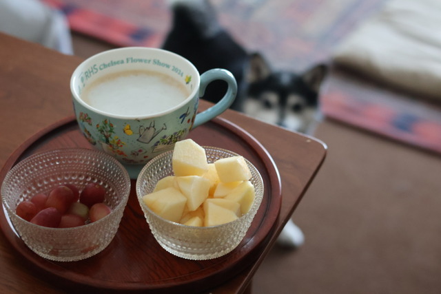 86106B67-FCEB-4988-B62E-32163E84D3A9