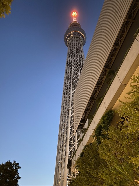 5A51C581-76ED-42BE-AE47-42A4F68969BE_1_105_c