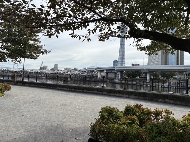 C431055A-E531-4FB5-9D21-A8E958A11E28_1_105_c