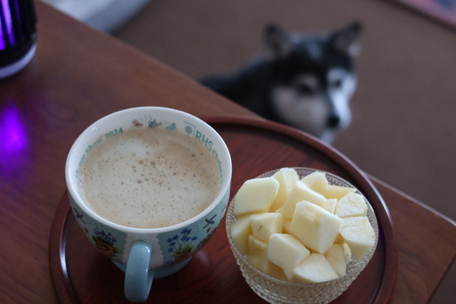 19D868D8-F3AA-4FB2-8D99-ACE78AEF344E