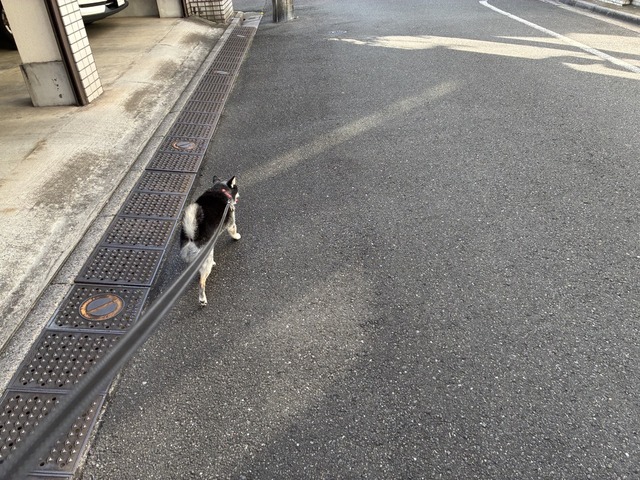 45423C7A-0E6D-4972-900C-B726EDD3C0FC_1_105_c