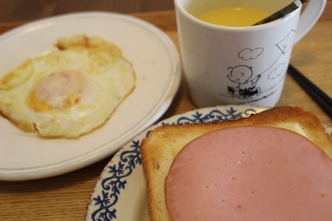 浅草植木市と至高の手作りハンバーグ