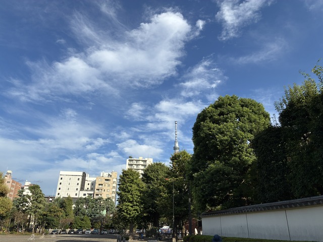 54B9E690-CFF9-4CD7-9A7C-F9163B21A03F_1_102_o
