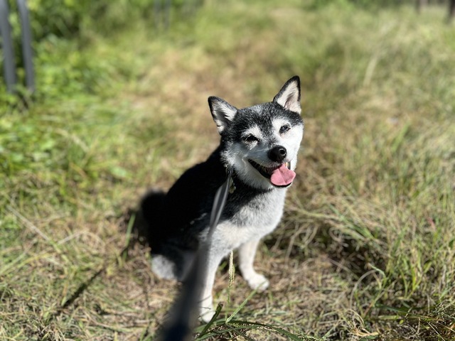 881715A9-C857-4ABF-9B7A-371253BF373D_1_105_c