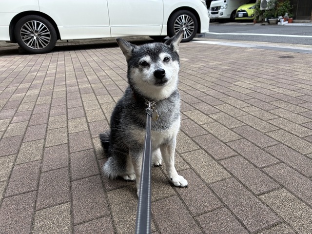 44461478-1E96-448E-BCFC-96E4EBCB23EC_1_105_c