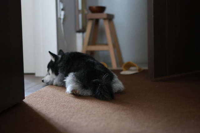 A067962C-7187-4C2A-9274-23857970AA0B