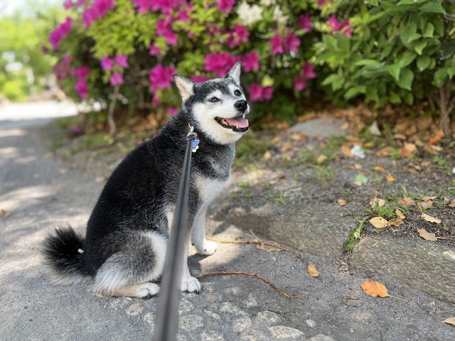 33B81E91-B4CB-499C-9869-27C57BEB6E7C_1_105_c