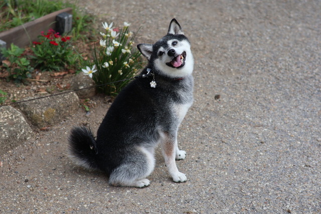 F7FDC88E-8010-4CC0-8D86-D0FCDBC0C61C_1_105_c