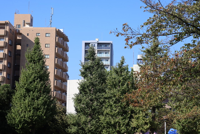 43BFAC7C-E4D7-4708-B983-4ECC20CD12BC