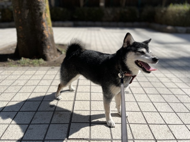 曇天の東京日帰り温泉で心身リフレッシュ