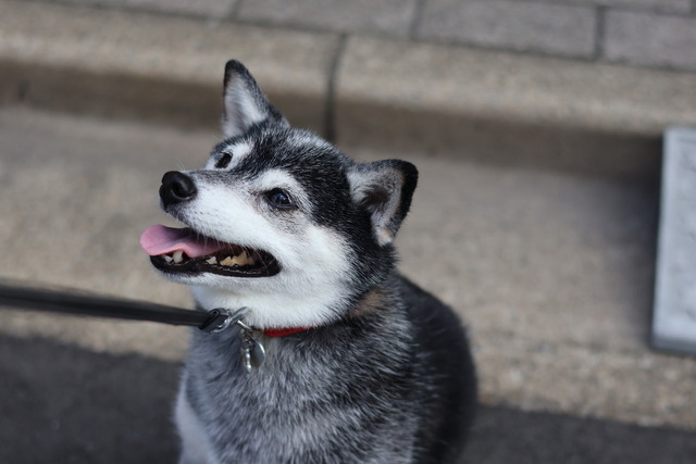 82E1E575-F93E-4187-8FB7-5719D95AD431_1_105_c