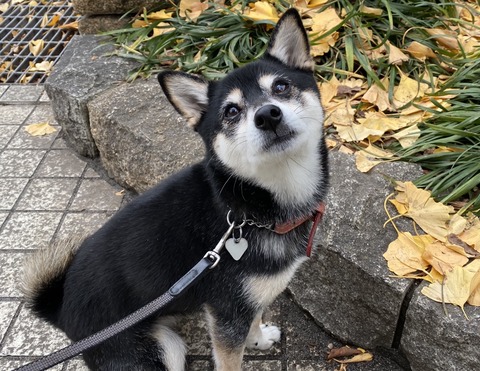 8A884F33-1BCD-407D-9548-5726472FE691