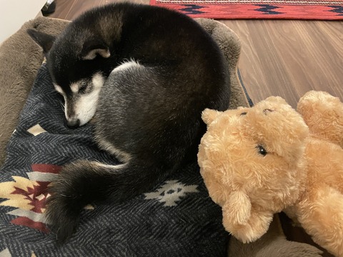 雪の喜多方ラーメンと根菜スープと益若つばさ