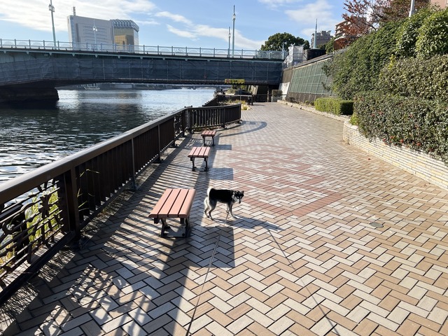 A97A6F3C-F895-464E-970B-4CD39FC75447_1_105_c