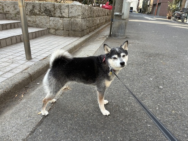 D70DC2C2-28CA-466C-AD72-8403796F1E54_1_105_c