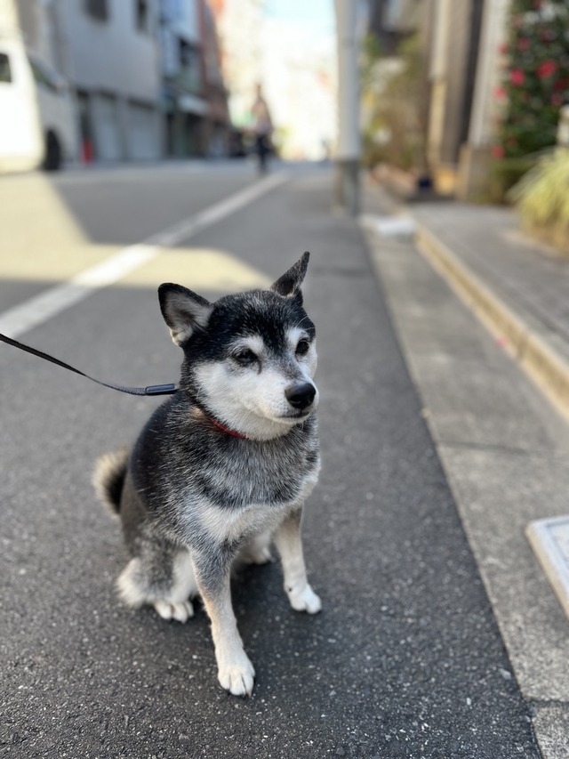 846E6834-3E29-42C4-85DF-BCDD33C5EB98_1_105_c