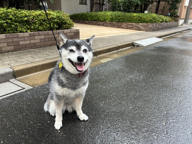 CC939BDE-DB74-4BA8-A90B-DCBE6DD362CB_1_105_c