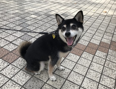 4B0290E7-6B8C-4A87-8BC2-A791CED1BD51