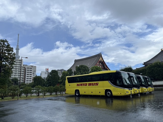 23767FB8-4CB0-4446-8E92-5CBEA58DD6B5_1_105_c