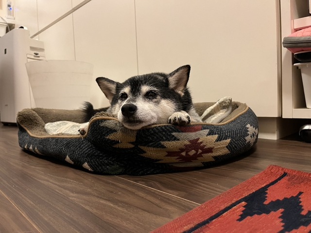 99F3D39E-E0DF-4E77-B955-C760C3E43343_1_105_c