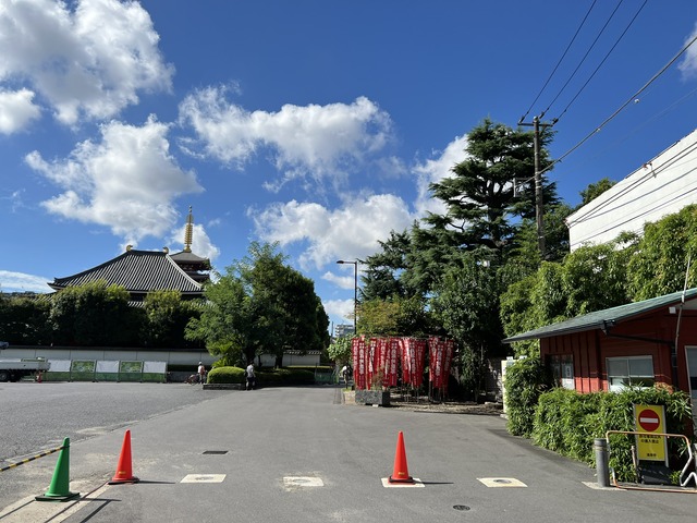 43DD6215-DF73-409A-8F50-B941ECC585CF_1_102_o