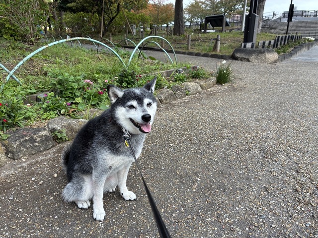 4337F074-C450-4AF0-B2BA-937D2B6DE90C_1_105_c